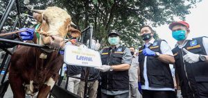 Pemkot Bandung Mulai Terjunkan Satgas Pemeriksa Hewan Kurban