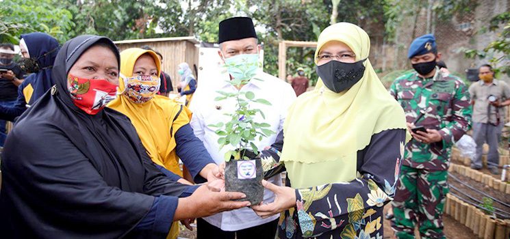 Teras Hijau Project Jadi Laboratorium Terbuka Di Sukaraja