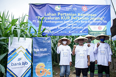 bank bjb Terus Bersinergi dengan Pemerintah dalam Penyaluran Kredit Usaha Rakyat (1)